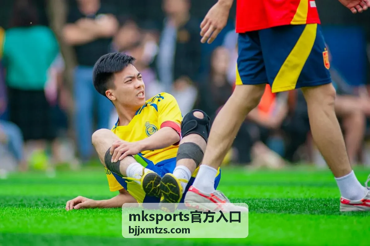 mksports官方入口栏目内容总览封面