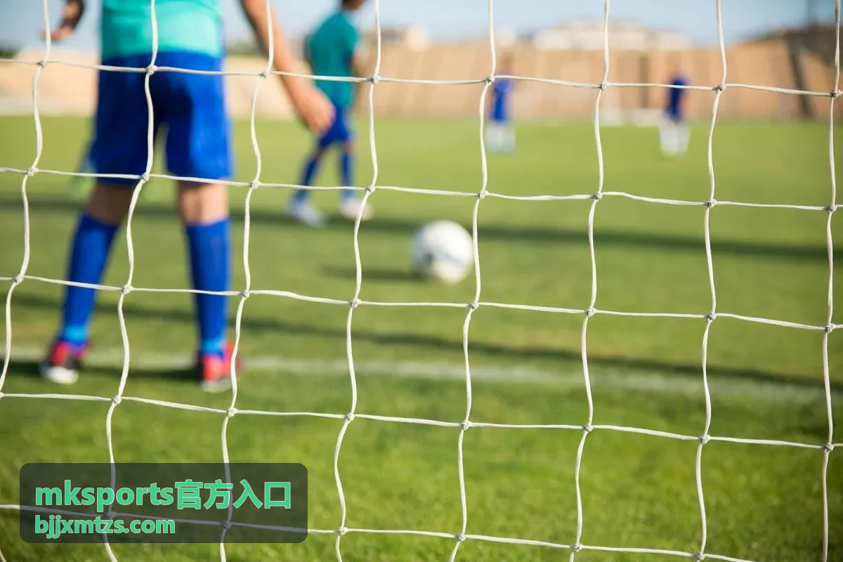 mksports官方入口多场景访问参考图