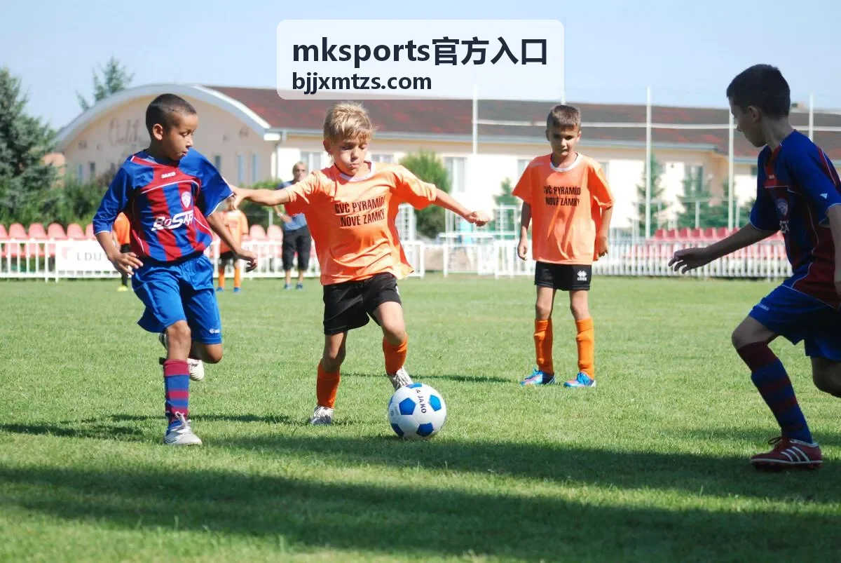 mksports官方入口移动端访问设置示意图