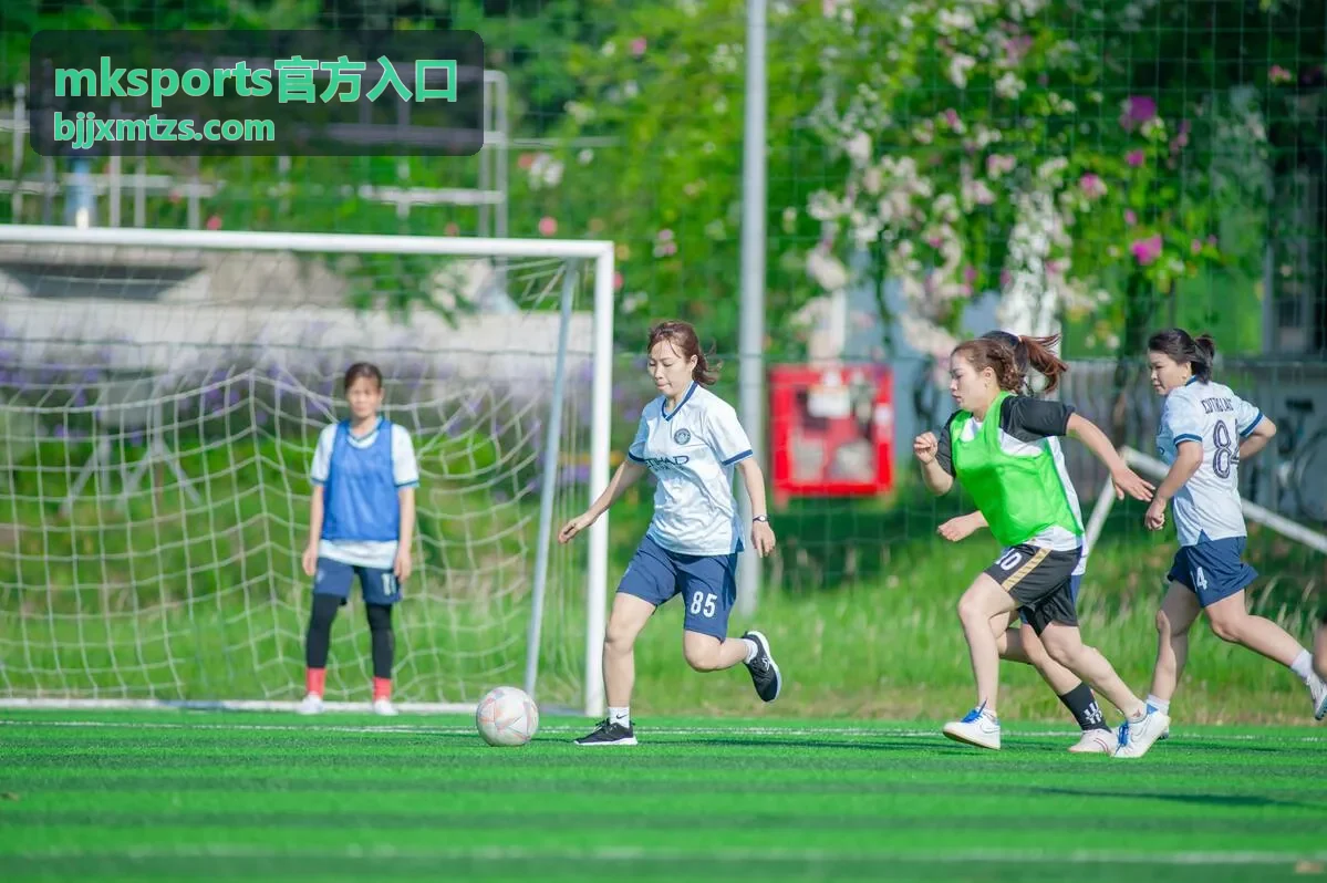 mksports官方入口访问提示汇总图